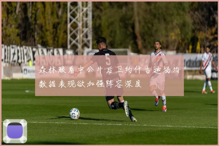 森林狼看中公牛后卫约什吉迪场均数据表现欲加强阵容深度