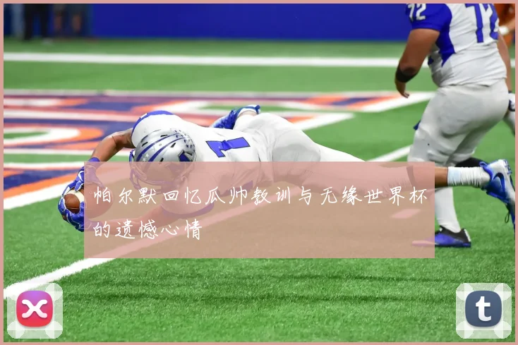 帕尔默回忆瓜帅教训与无缘世界杯的遗憾心情